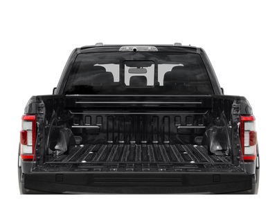 2021 FORD TRUCK F-150 RAPTOR