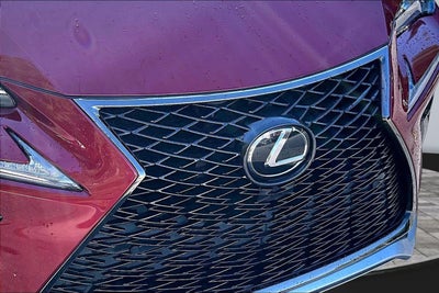 2021 Lexus NX NX 300 F SPORT